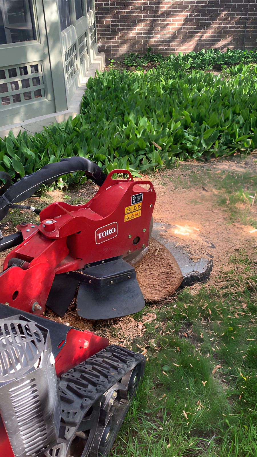 Stump grinder working on a stump beside a house