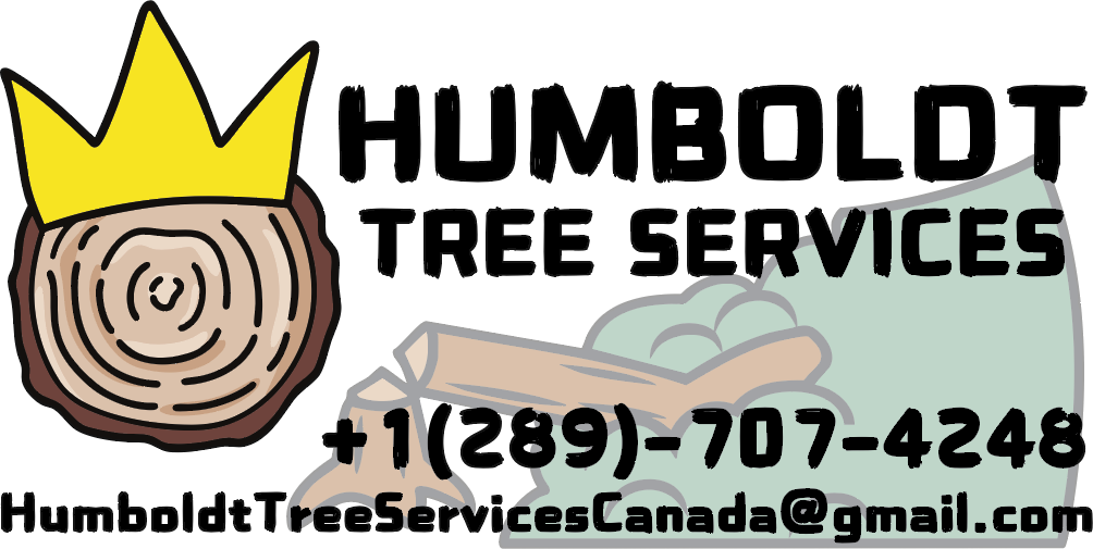 Humboldt Tree Services, +1 (289) 707-4248, HumboldtTreeServicesCanada@gmail.com